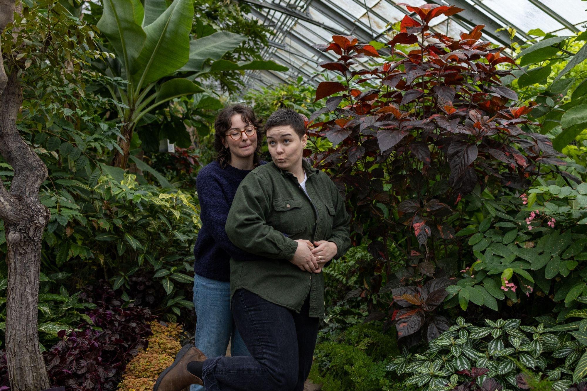 carousel-hero-element image-2